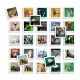 Образователна Игра Diset Memo Photo Animales 54 Части