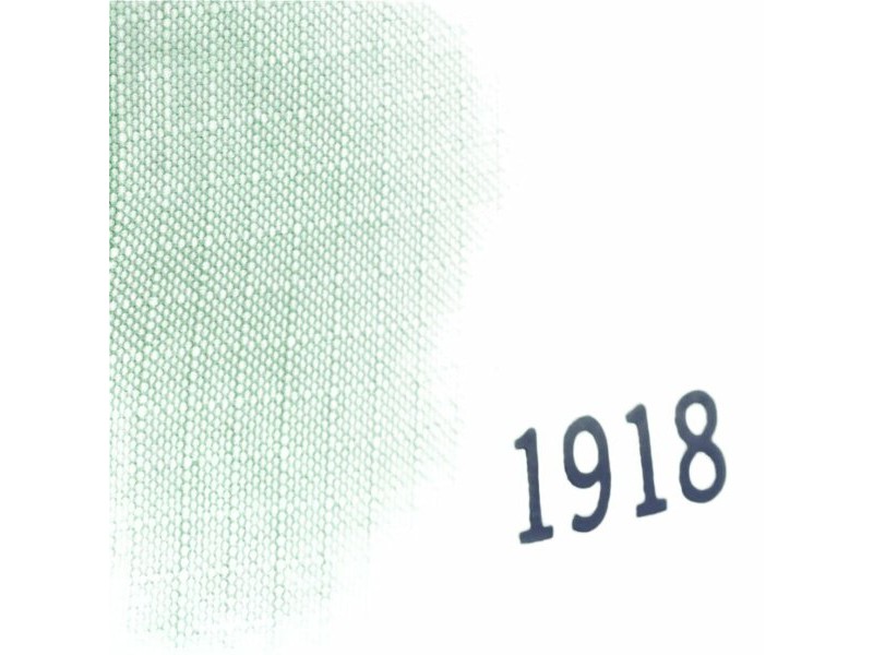 Всекидневна Раница Milan Serie 1918 Зелен 42 x 29 x 11 cm