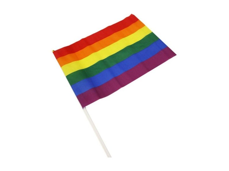 флаг Divertysex 30 x 20 cm Многоцветен 12 Части