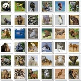 Игра за Памет Educa Identic Memo Animals