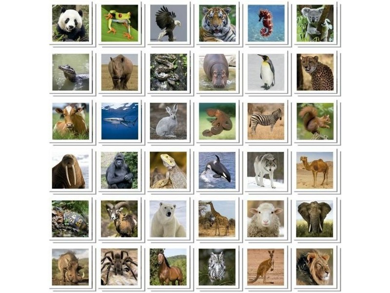Игра за Памет Educa Identic Memo Animals
