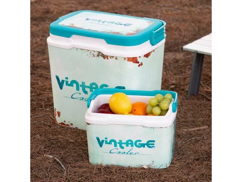 Преносима Хладилна Чанта Aktive Vintage 5 L