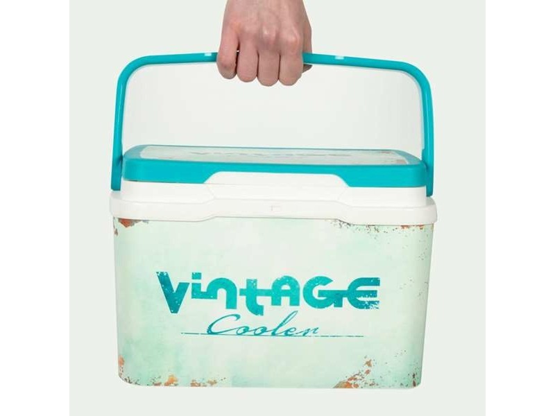 Преносима Хладилна Чанта Aktive Vintage 5 L