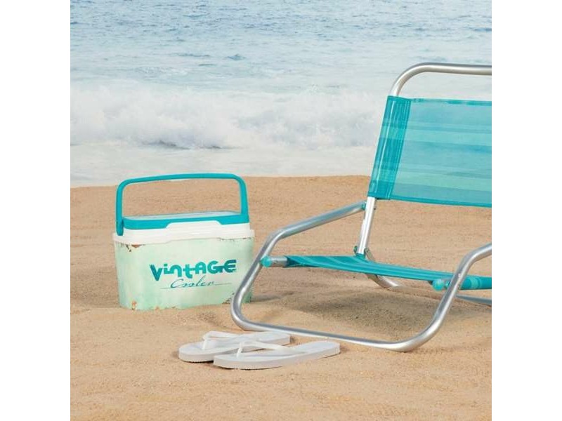 Преносима Хладилна Чанта Aktive Vintage 5 L