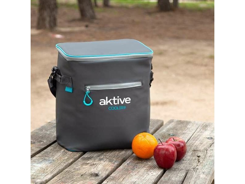 Преносима Хладилна Чанта Aktive 23 L 30 x 22 x 35 cm