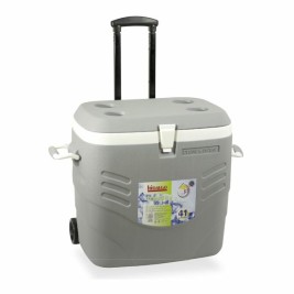 Преносима Твърда Хладилна Чанта Hidalgo Premium Сив 41 L
