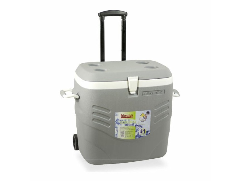 Преносима Твърда Хладилна Чанта Hidalgo Premium Сив 41 L