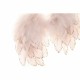 Коледна Украса DKD Home Decor Пера (2 pcs) (28 x 4 x 33 cm) Коледна Украса DKD Home Decor Пера (2 pcs) (28 x 4 x 33 cm)