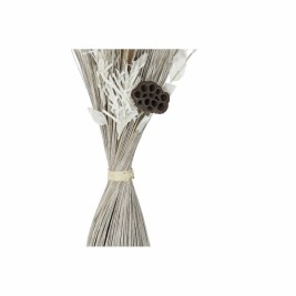 Букет DKD Home Decor Lilled Кокосови влакна (2 pcs) (40 x 40 x 100 cm)