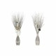 Букет DKD Home Decor Lilled Кокосови влакна (2 pcs) (40 x 40 x 100 cm)