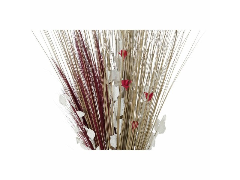 Букет DKD Home Decor 8424001847471 Lilled Естествен Червен Кафяв Сухо цвете (40 x 40 x 150 cm) (2 броя) Букет DKD Home Decor 8424001847471 Lilled Естествен Червен Кафяв Сухо цвете (40 x 40 x 150 cm) (2 броя)