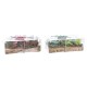 Комплект Свещи DKD Home Decor Коледа (5,5 x 5,5 x 6 cm) (2 броя)