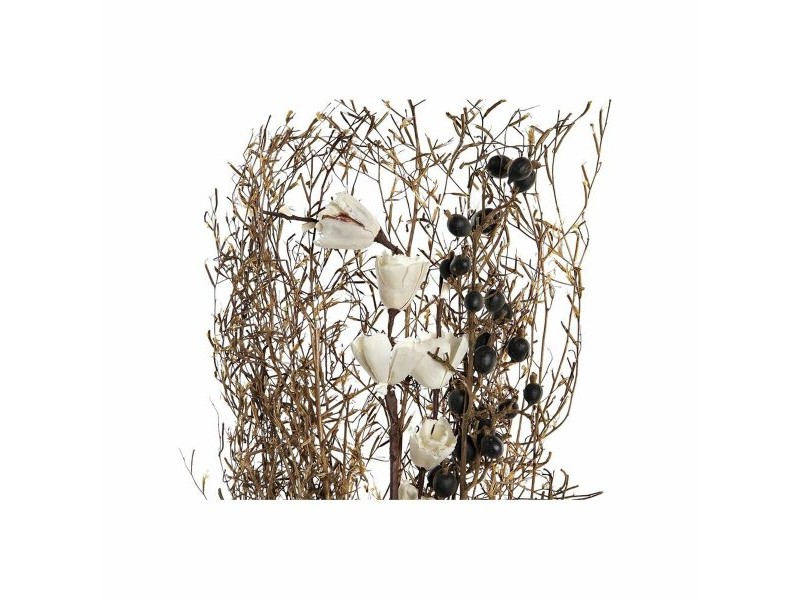 Букет DKD Home Decor Розов Кафяв Бял Сухо цвете (2 броя) (30 x 30 x 65 cm)