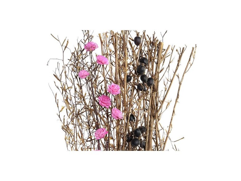 Букет DKD Home Decor Розов Кафяв Бял Сухо цвете (2 броя) (30 x 30 x 65 cm)