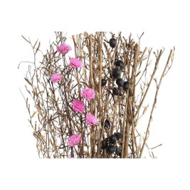 Букет DKD Home Decor Розов Кафяв Бял Сухо цвете (2 броя) (30 x 30 x 65 cm)