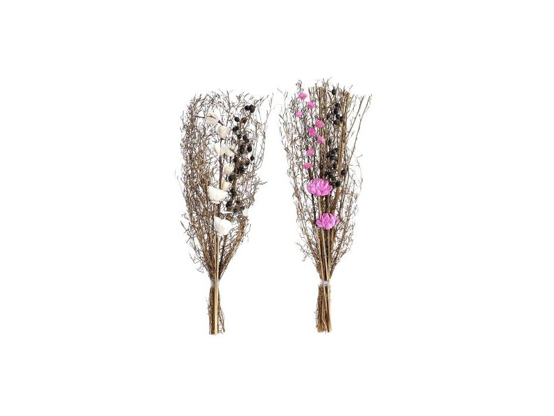 Букет DKD Home Decor Розов Кафяв Бял Сухо цвете (2 броя) (30 x 30 x 65 cm)