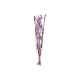 Букет DKD Home Decor Розов Люляк Бял Сухо цвете (30 x 30 x 100 cm) (2 броя) Букет DKD Home Decor Розов Люляк Бял Сухо цвете (30 x 30 x 100 cm) (2 броя)