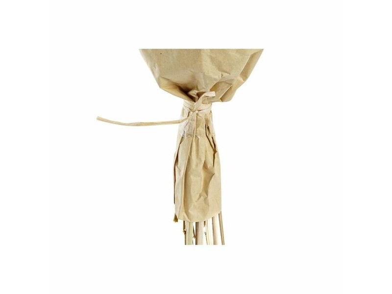 Букет DKD Home Decor Фуксия Жълт Сухо цвете (20 x 12 x 50 cm) (2 броя)