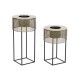 Комплект саксии DKD Home Decor 33 x 33 x 67 cm Черен Златен Метал Loft