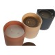 Ароматизирана Свещ DKD Home Decor Тропически 270 g (3 броя) Ароматизирана Свещ DKD Home Decor Тропически 270 g (3 броя)