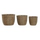 Комплект саксии Home ESPRIT Кафяв влакно Тропически 31 x 31 x 24 cm Комплект саксии Home ESPRIT Кафяв влакно Тропически 31 x 31 x 24 cm