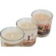 Ароматизирана Свещ Home ESPRIT Град 60 g (3 броя)