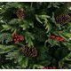 Коледно дърво Home ESPRIT Червен Зелен PVC 129 X 129 X 240 CM