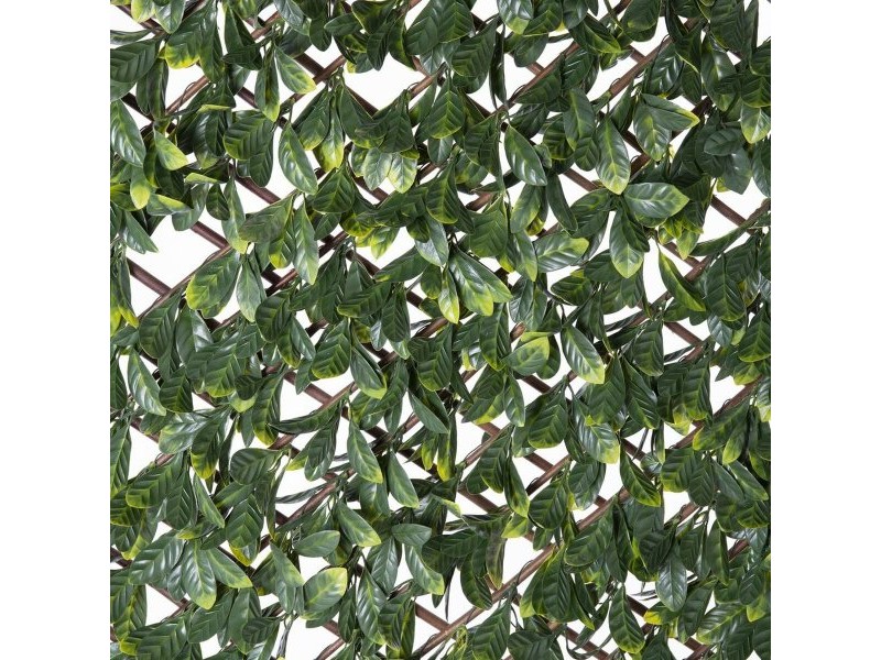 Решетка Natural Laurel плетена ракита Бамбук 2 x 200 x 100 cm