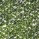 Решетка Natural Бръшлян плетена ракита Бамбук 2 x 200 x 100 cm