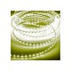 LED ленти EDM 72705 Жълт 4,2 W x 1 m 50 m 350 lm