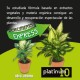 Органичен тор Flower 1 L Pастения