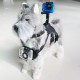 Предпазно Оборудване за Домашни Любимци с Поставка за Спортна Камера KSIX Черен