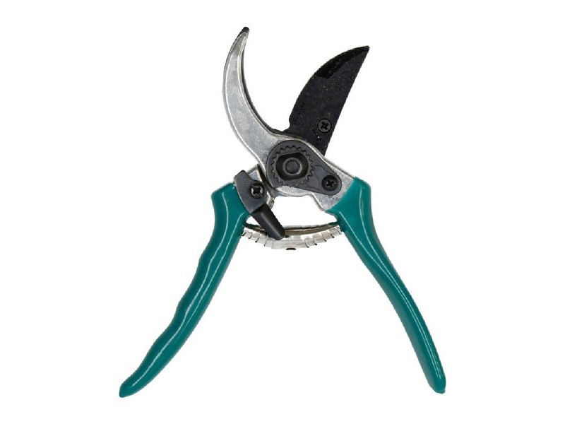 Градински Ножици Ferrestock Зелен