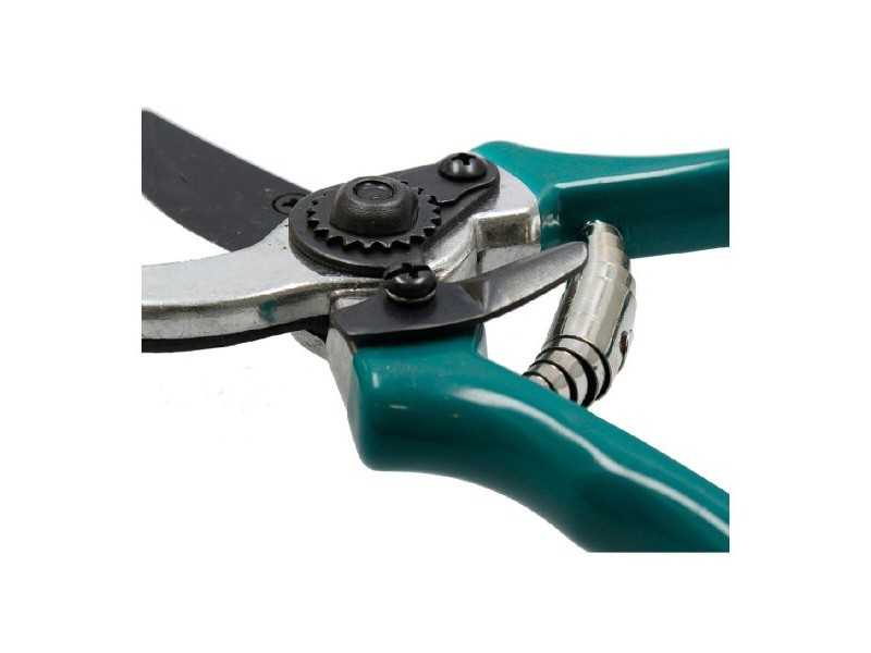 Градински Ножици Ferrestock Зелен