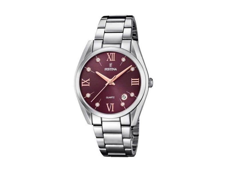 Мъжки часовник Festina F16790/E Кафяв Сребрист Ø 37 mm
