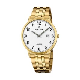 Мъжки часовник Festina CLASSICS (Ø 40,5 mm)