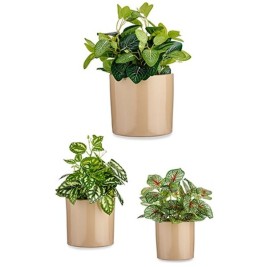 Комплект Саксии за цветя Ibergarden Бежов Глина Цилиндър Ø 14 cm Ø 22 cm Ø 17 cm 22 x 19 x 22 cm 3 Части