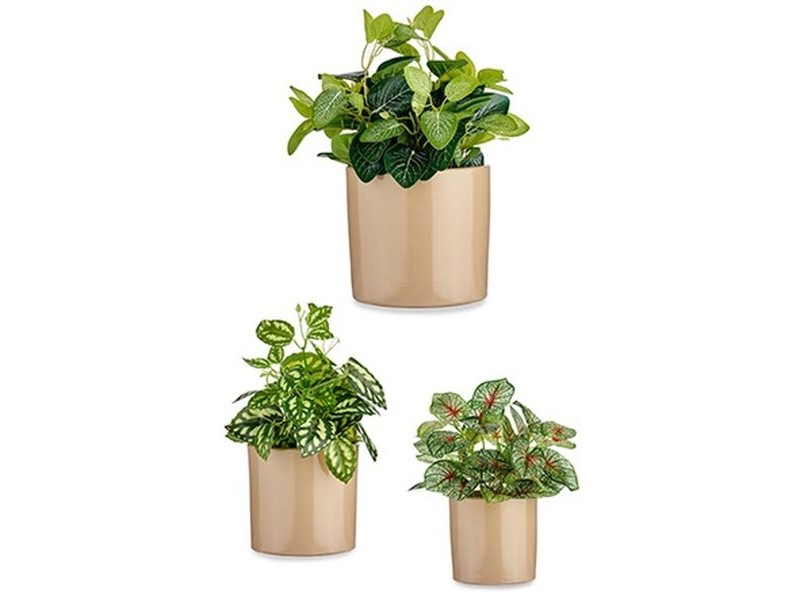 Комплект Саксии за цветя Ibergarden Бежов Глина Цилиндър Ø 14 cm Ø 22 cm Ø 17 cm 22 x 19 x 22 cm 3 Части