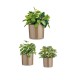 Комплект Саксии за цветя Ibergarden Тъмнокафяв Глина Цилиндър Ø 14 cm Ø 22 cm Ø 17 cm 22 x 19 x 22 cm 3 Части