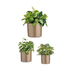Комплект Саксии за цветя Ibergarden Тъмнокафяв Глина Цилиндър Ø 14 cm Ø 22 cm Ø 17 cm 22 x 19 x 22 cm 3 Части