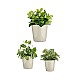 Комплект Саксии за цветя Ibergarden Сив Глина Cónica Ø 14 cm Ø 22 cm Ø 17 cm 22,5 x 21 x 22,5 cm 3 Части