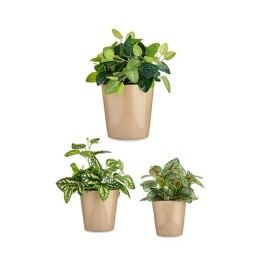 Комплект Саксии за цветя Ibergarden Бежов Глина Cónica Ø 14 cm Ø 22 cm Ø 17 cm 22 x 21 x 22 cm 3 Части