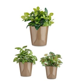 Комплект Саксии за цветя Ibergarden Cónica Ø 14 cm Ø 22 cm Ø 17 cm Пластмаса 30 x 40 cm 3 Части (3 Части)
