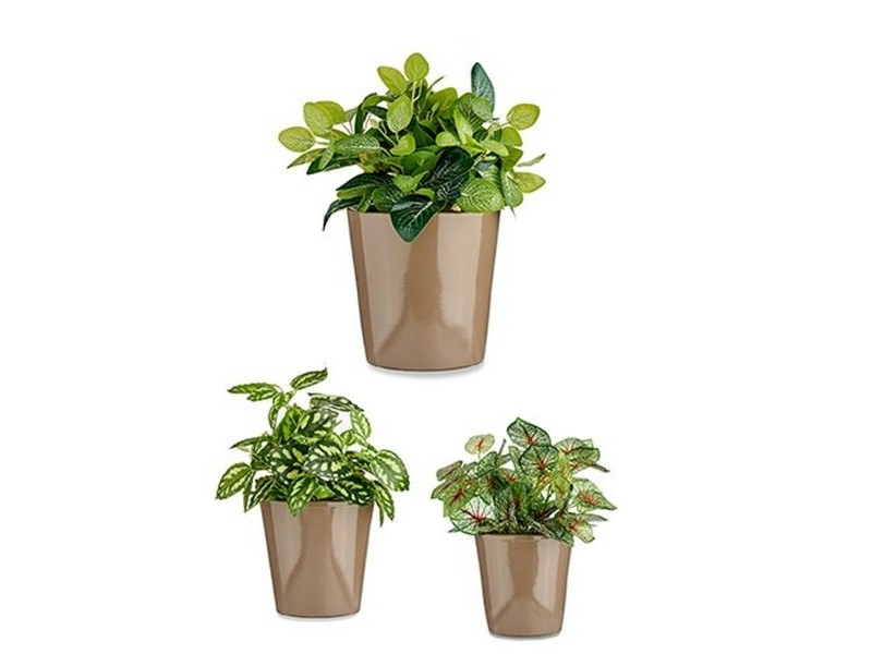 Комплект Саксии за цветя Ibergarden Cónica Ø 14 cm Ø 22 cm Ø 17 cm Пластмаса 30 x 40 cm 3 Части (3 Части)