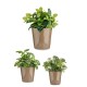 Комплект Саксии за цветя Ibergarden Cónica Ø 14 cm Ø 22 cm Ø 17 cm Пластмаса 30 x 40 cm 3 Части (3 Части)
