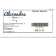 Саксия Alexandra House Living Classic Магнезиев 45 x 16 x 45 cm