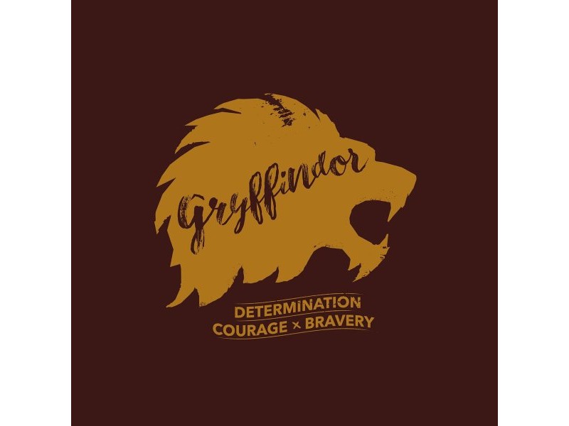 Пух Harry Potter Gryffindor Многоцветен 235 x 4 x 270 cm 135 легло