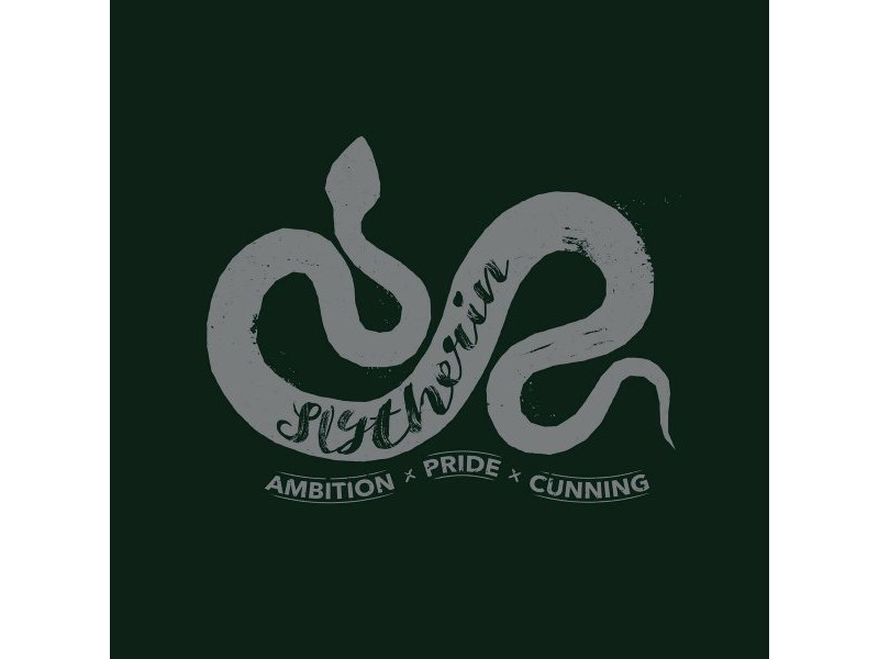Пух Harry Potter Slytherin Многоцветен 190 x 4 x 270 cm 90 легло