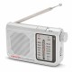 Радио преводач Aiwa AM/FM Сив
