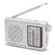 Радио преводач Aiwa AM/FM Сив